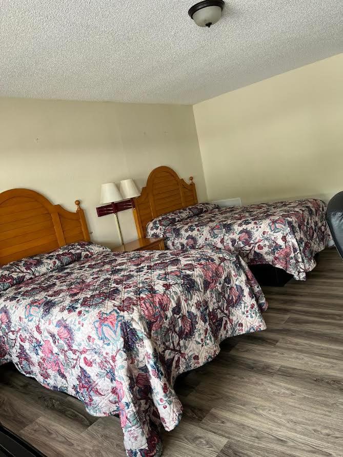 Yorktown Motor Lodge Ngoại thất bức ảnh